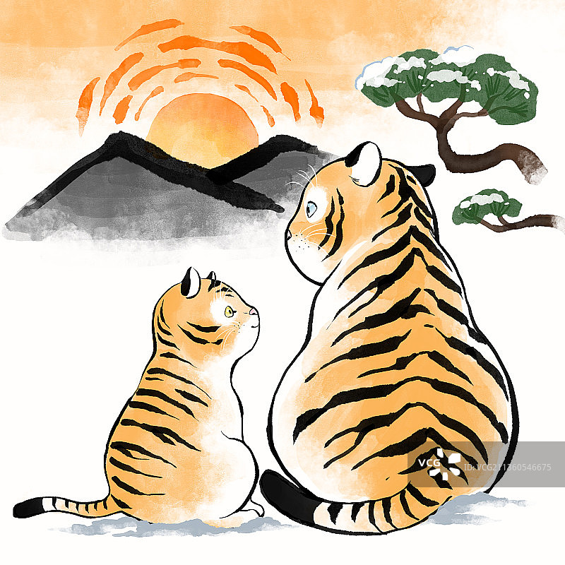 2022年虎年，两只老虎看新年日出图片素材