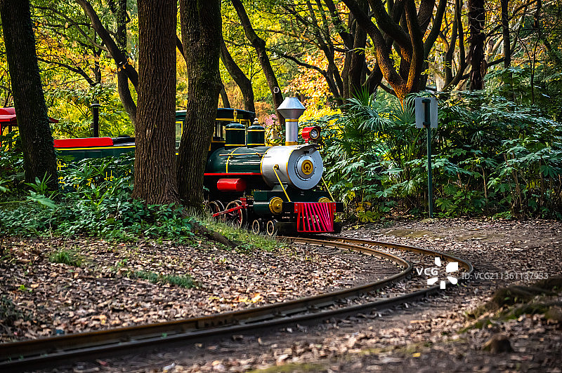 秋天的上海共青森林号森林小火车图片素材