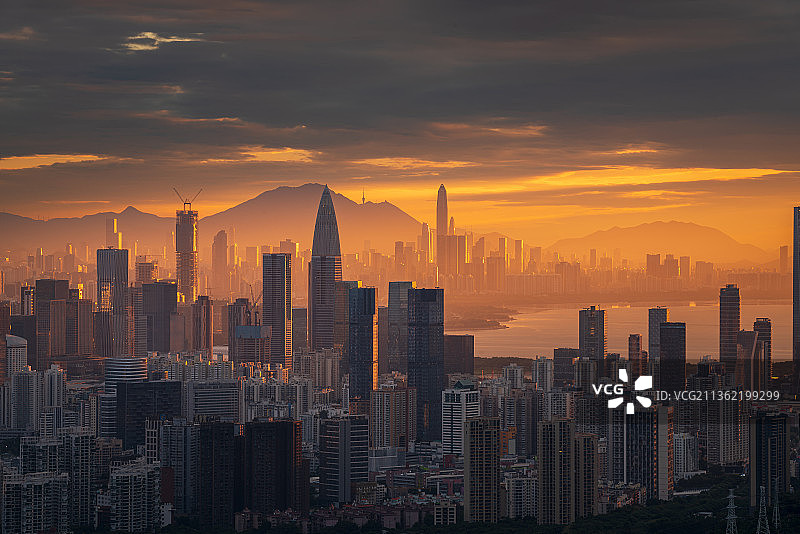 深圳湾的晨光图片素材