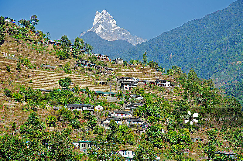 尼泊尔甘德鲁克的山村，树木和建筑与天空的对比图片素材