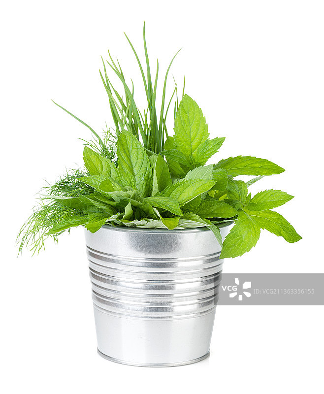 金属桶中的新鲜香草，白色背景下盆栽植物的特写图片素材