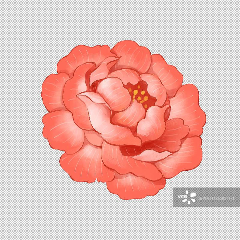 春节插画元素花卉牡丹图片素材