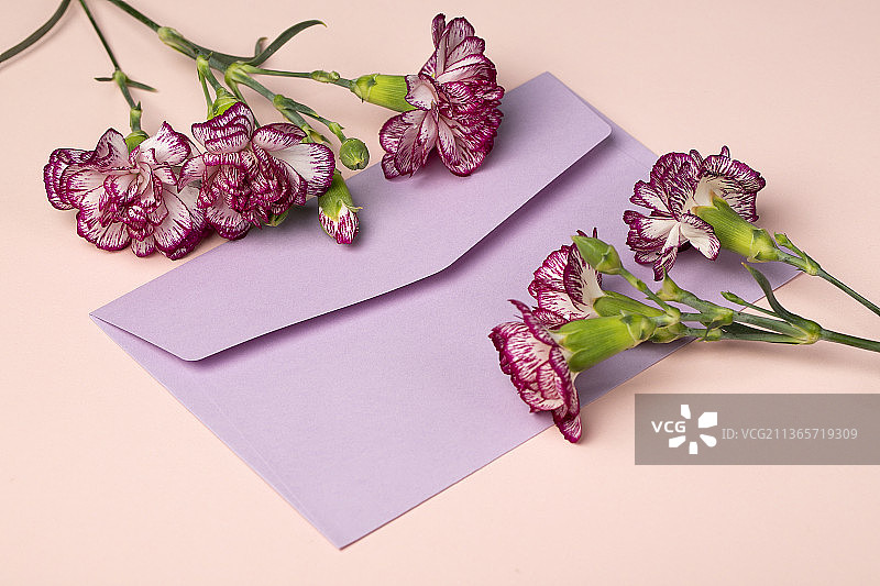 粉色康乃馨鲜花与信封图片素材