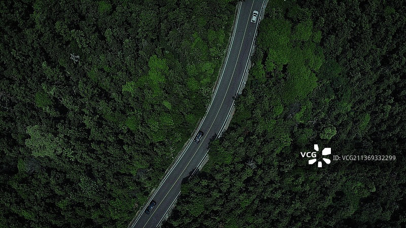 江苏省常州市武进区太湖湾旅游度假区城湾山盘山公路的春季森系航拍图片素材