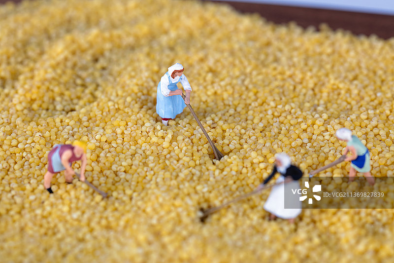 小米背景上劳作的农民人偶图片素材