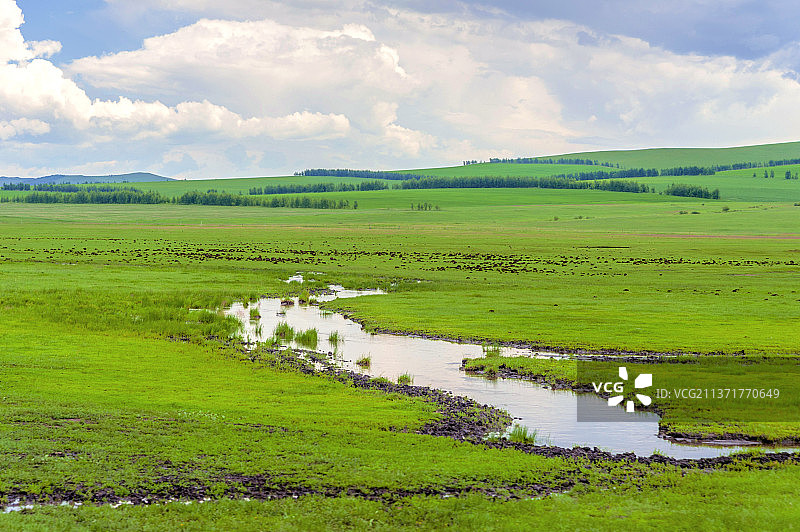 中国内蒙古呼伦贝尔额尔古纳草原风光图片素材