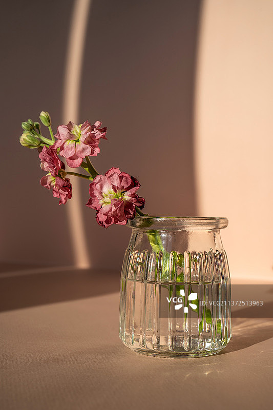 美丽的抽象背景与鲜花和花瓶图片素材
