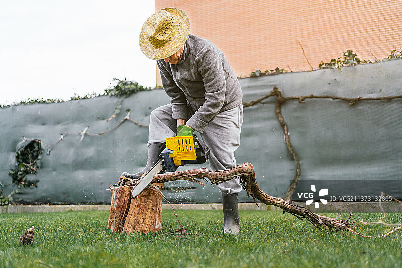 西班牙，一名男子在花园里用电锯切割一根木头，他倚在另一根木头上图片素材