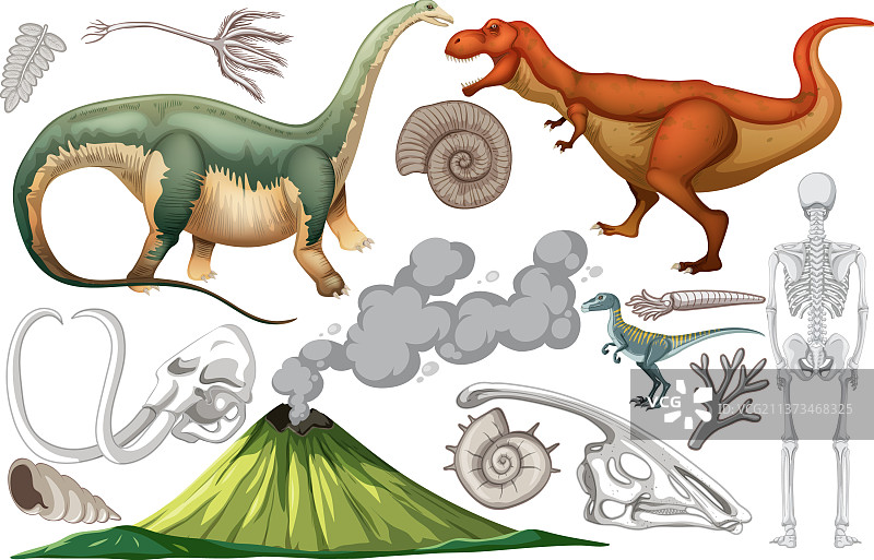 一套恐龙和化石图片素材