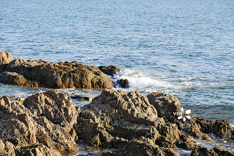青岛海边的礁石图片素材
