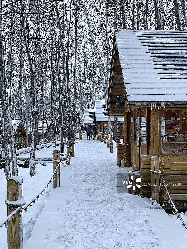 冬季日本北海道富良野森林中的精灵小木屋图片素材