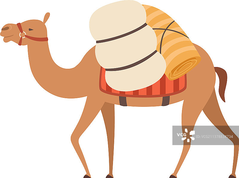 骆驼驮驮驮驮，行走在沙漠中图片素材