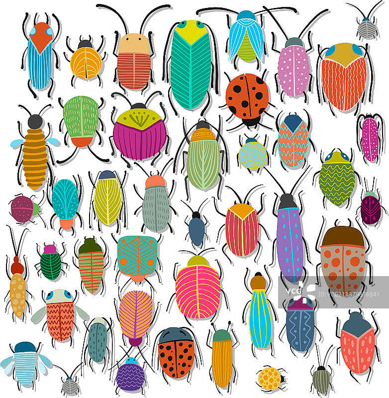 为你的设计收集有趣的甲虫图片素材
