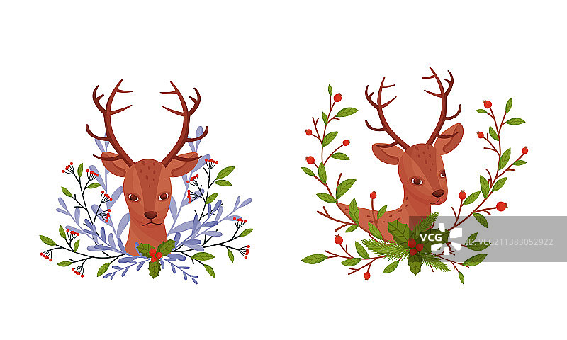 可爱的小鹿头在树枝上挂着浆果图片素材