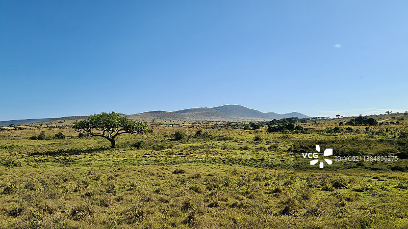风景如画的田野对晴朗的蓝天，肯尼亚图片素材