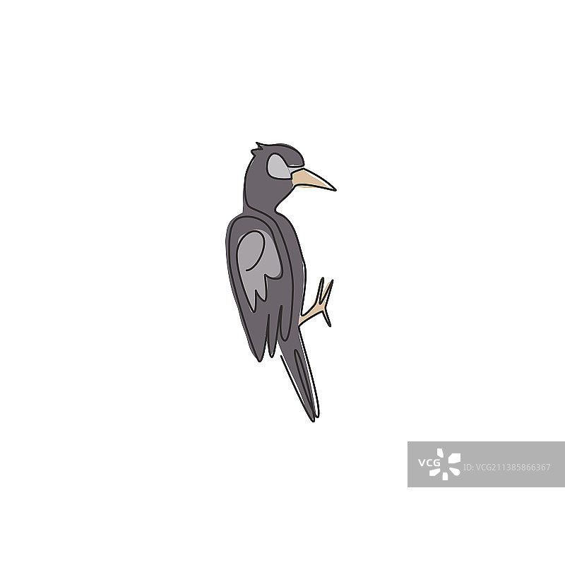 上面连续画了一只可爱的啄木鸟图片素材