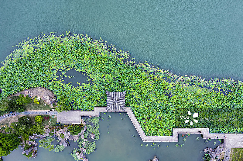 常熟尚湖风景区的夏天图片素材