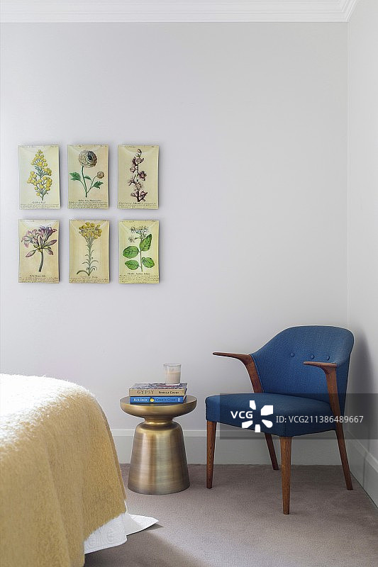 植物学图像在蓝色的复古扶手椅和边桌图片素材