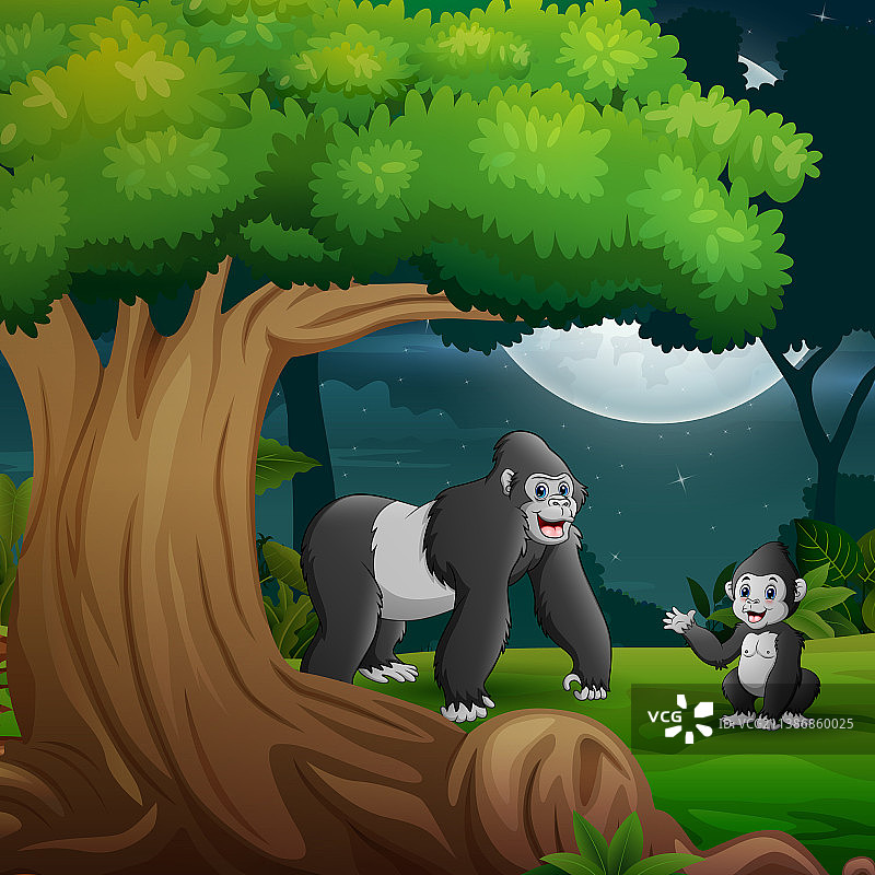 夜森林里有一只大猩猩妈妈和她的幼崽图片素材