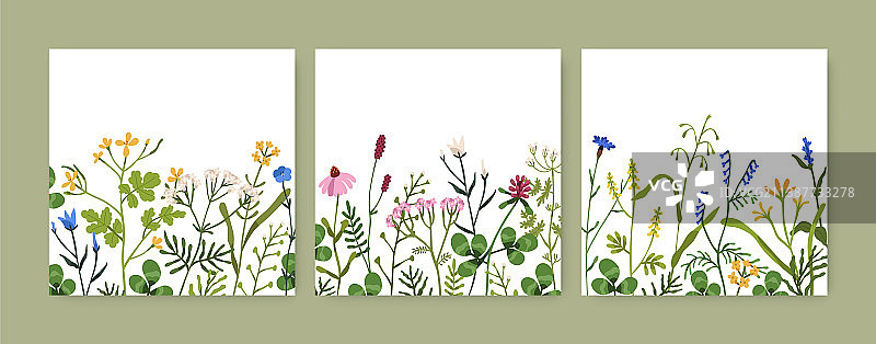 花卉卡片以野花为背景图片素材