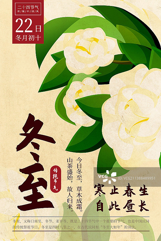 二十四节气新中式植物海报-22冬至-山茶花图片素材