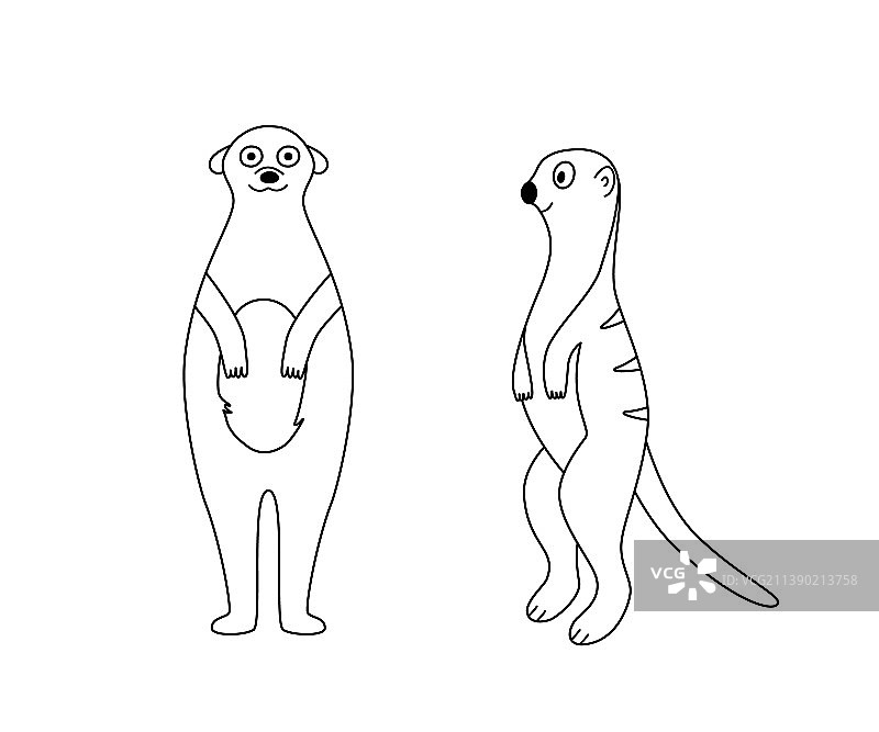 两只站立的猫鼬剪影可爱的卡通形象图片素材