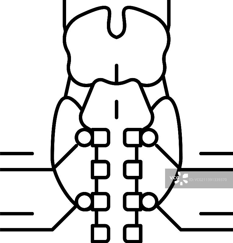 甲状旁腺内分泌线图示图片素材