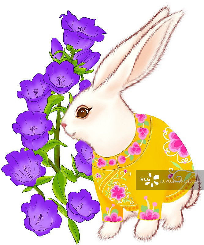 2023年兔年月份兔可爱白兔月历插图图片素材