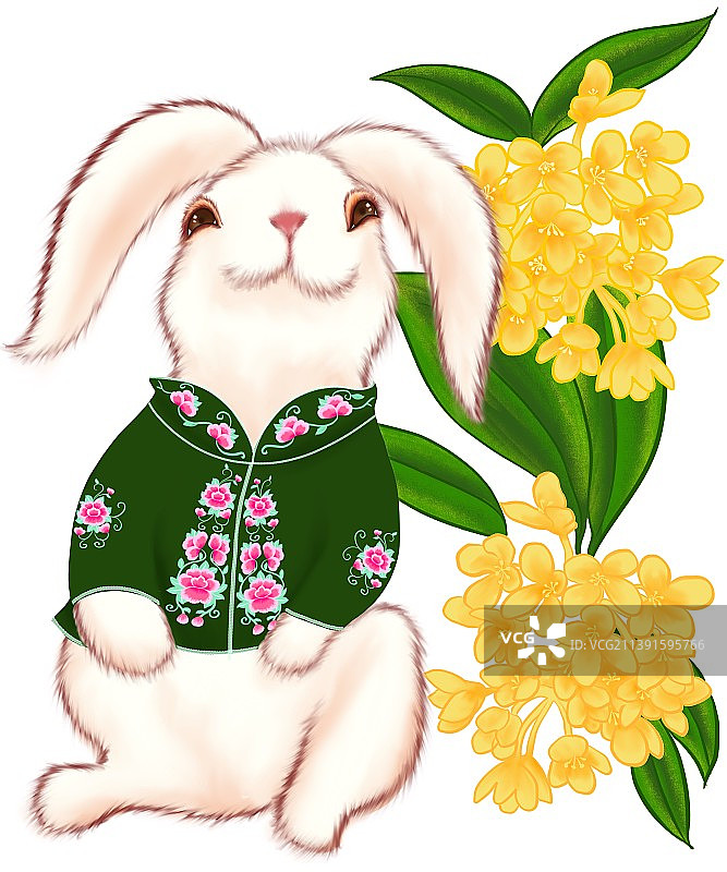 2023年兔年月份兔可爱白兔月历插图图片素材