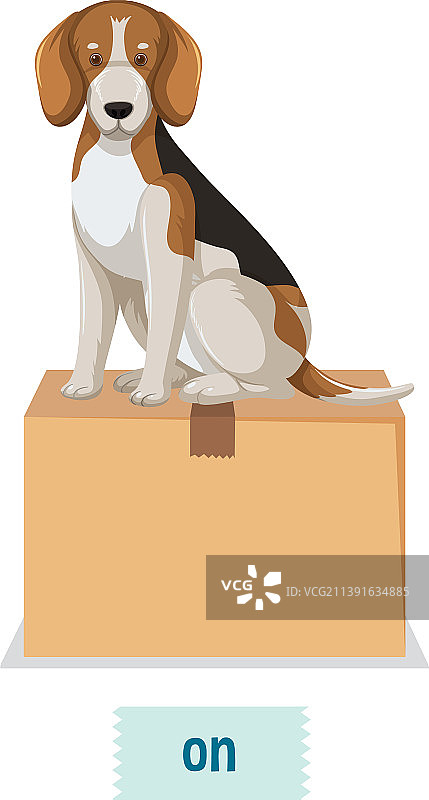 介词卡片设计与狗在盒子上图片素材