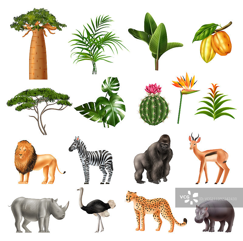 非洲自然现实主义图标图片素材