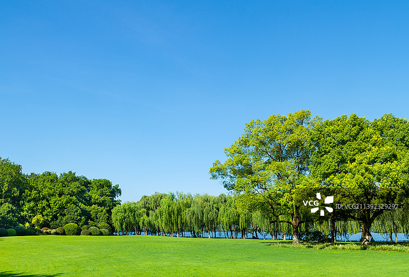 蓝天 阳光 树林 草坪 绿地 背景素材 浙江杭州西湖畔图片素材