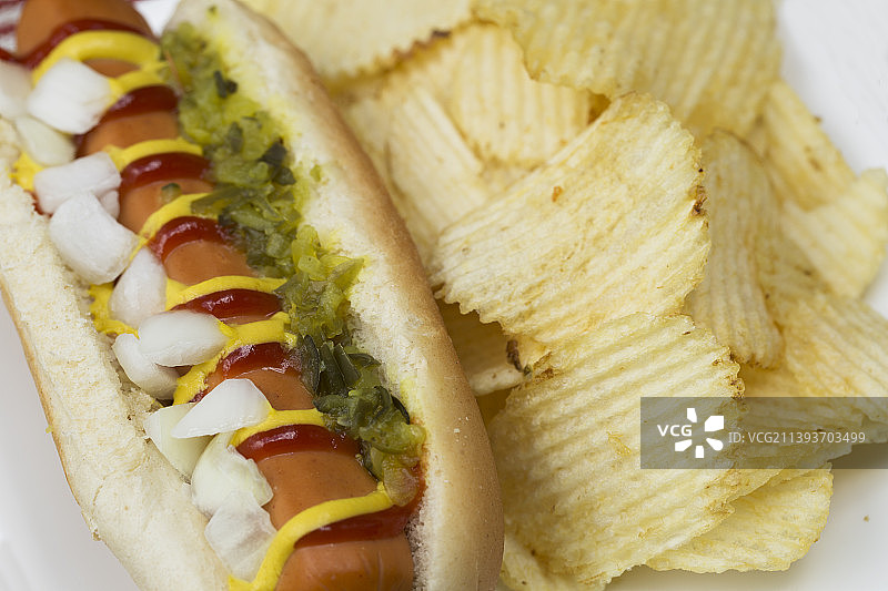 素食狗和薯条的特写图片素材