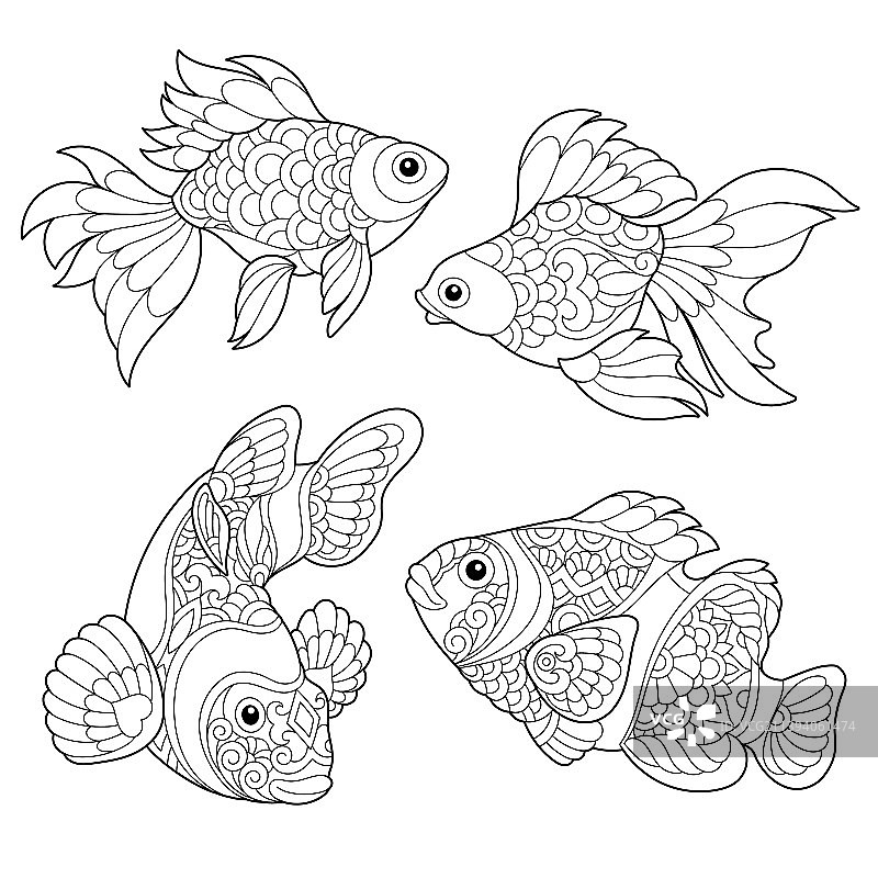 Zentangle程式化了鱼的种类图片素材