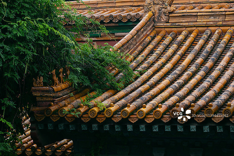 雨后故宫,屋檐斗拱屋脊兽图片素材