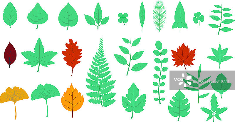 叶子图标设置生态自然元素绿叶图片素材