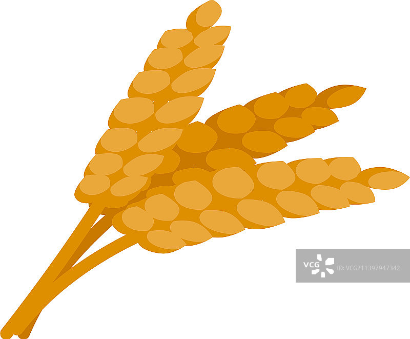 小麦锌表示等距矿物锌图片素材
