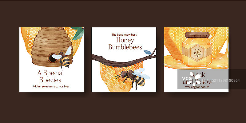 横幅模板与蜜蜂概念水彩图片素材