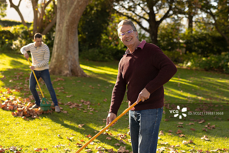 快乐的白人父亲和成年儿子在花园里扫树叶的形象图片素材