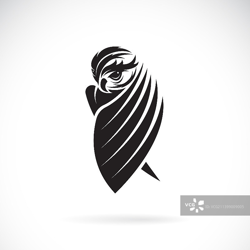 猫头鹰设计在白色背景鸟类动物图片素材