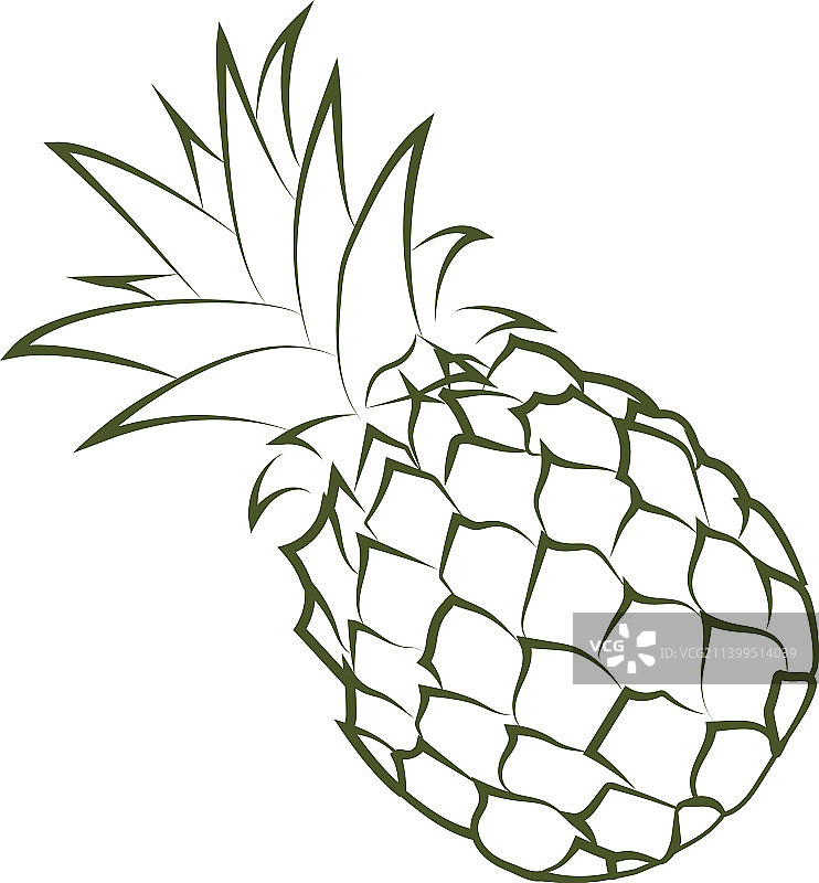 轮廓绿色形象的菠萝图形图片素材
