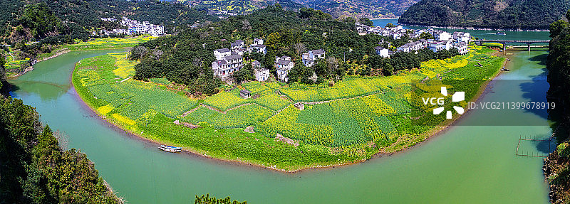 安徽歙县，新安江的春天，油菜花图片素材