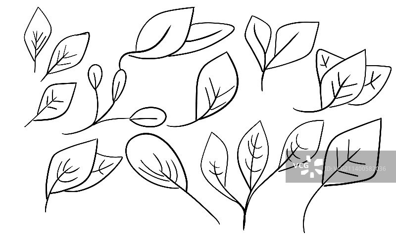 树叶涂鸦茶图标和素食素描树叶树图片素材
