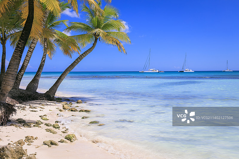热带田园诗般的加勒比海海滩，帆船，蓬塔卡纳，多米尼加图片素材