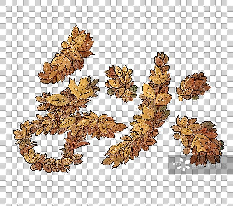 秋天的黄色落叶图片素材
