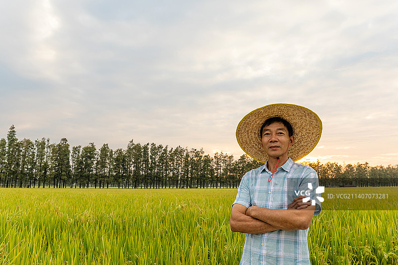秋天稻田里的中国老农民肖像图片素材