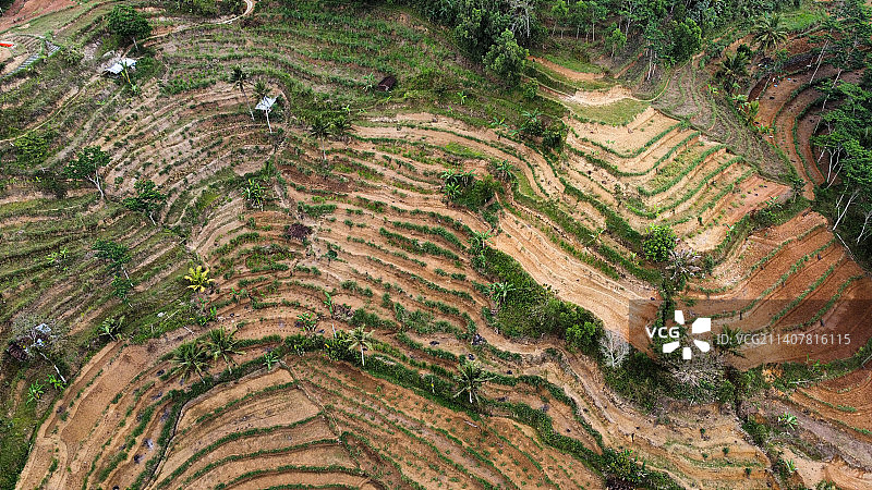 印尼乌扬托罗的农业田地的高角度视图图片素材