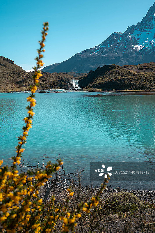 智利托雷斯·德尔·潘恩，清澈蓝天下的湖泊风景图片素材