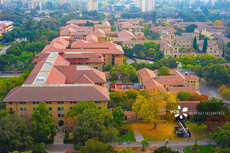 航拍视角俯瞰美国斯坦福大学（Stanford）美丽校园风光图片素材