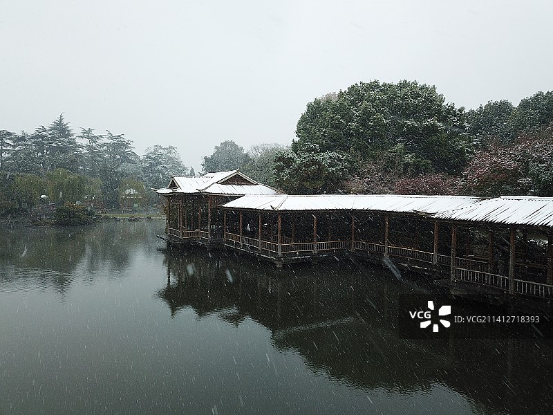 江南的第一场雪，摄于西湖花港观鱼图片素材